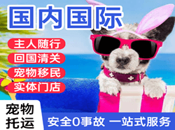毕节飞雄机场物流国际宠物托运 【国